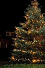 Kerstverlichting koppelbaar warm wit 10 meter - 100 led lampjes