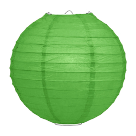 Lampion groen papier 50 cm