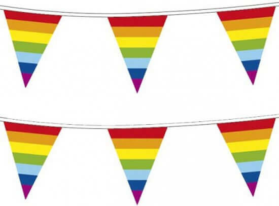 Herinnering Afleiding Oxide Vlaggenlijn regenboog vlaggetjes kopen | Candlebagplaza