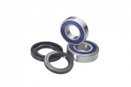 ALL BALLS- WHEEL BEARING KIT REAR SX50 15-..