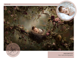 Droomfoto - The Enchanted Nest -IW008