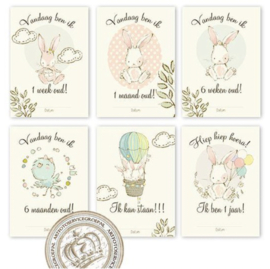 B2B - Milestone Baby cards - MSTB005 Pink