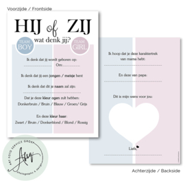 Hij of zij, Wat denk jij? - Baby Voorspellingen  - (20 invulkaarten)