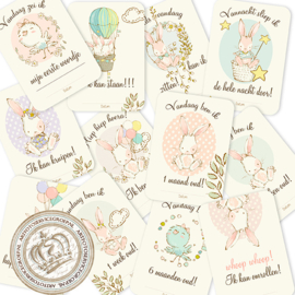 MSTB005 Pink Milestone Baby cards  - Little Bunny