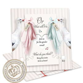 Baby Gender Reveal Party Invites GR026 (pakket: 12 invites)