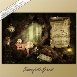 Digitale Droomfoto - Fairytale forest