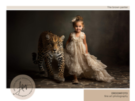 Droomfoto  - The Brown Panther