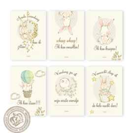 B2B -Milestone Baby cards - MSTB005 N 