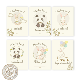 B2B -Milestone Baby cards - MSTB005 N 