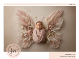 Droomfoto - Le Petite Papillon -IW575