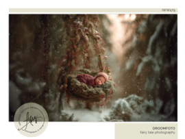 Digitale Droomfoto - Winter Dreams -IW479