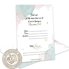 Baby Gender Reveal Party Invites GR305(pakket: 12 invites)