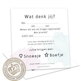 Baby Gender Reveal Party Invites  (8 Invulkaarten)