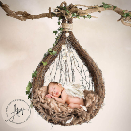 Digitale Droomfoto - The Nest - IW935