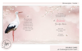 Sprookjes geboortekaartje ooievaar met baby meisje in roze doek - GB784P