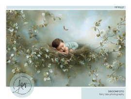 Droomfoto - Nestled in Nature -IW937