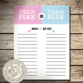 Team Pink or Blue?  (invul) hardboard poster