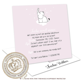 Babyshower kaart BS005
