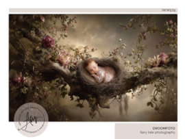 Droomfoto - Sweet Little Dreams - IW936