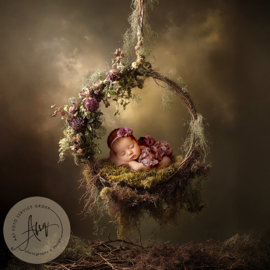 Droomfoto - A Touch of Enchantment - IW005