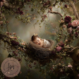 Droomfoto - The Enchanted Nest -IW008