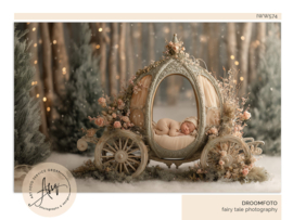 Droomfoto - A Winter Fairytale -IW574