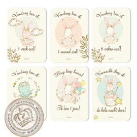MSTB005 Pink Milestone Baby cards  - Little Bunny