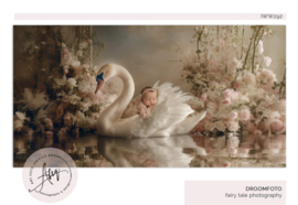 Droomfoto - The Royal Swan IW292