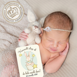MSTB005 Pink Milestone Baby cards  - Little Bunny