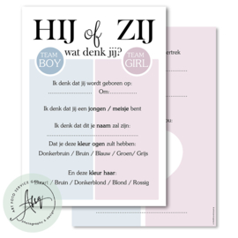 Hij of zij, Wat denk jij? - Baby Voorspellingen  - (20 invulkaarten)