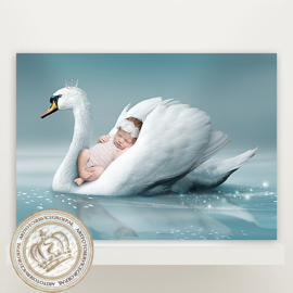 Digitale Droomfoto -  The Swan Lake III