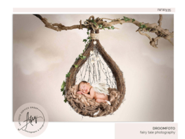 Digitale Droomfoto - The Nest - IW935