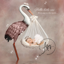 Digitale Droomfoto - The Stork (Pink)