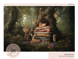 Digitale Droomfoto - My Little Fairytale- IW015