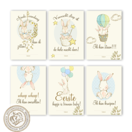 B2B - Milestone  Baby cards - MSTB 005 Blue