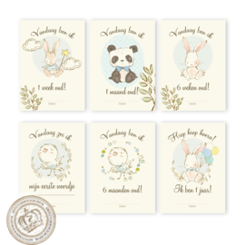 B2B - Milestone  Baby cards - MSTB 005 Blue