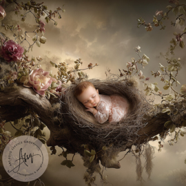 Droomfoto - Sweet Little Dreams - IW936