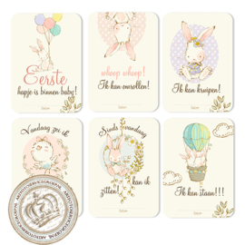 MSTB005 Pink Milestone Baby cards  - Little Bunny