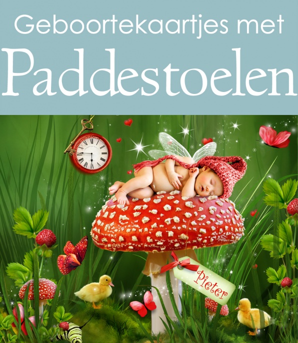 Geboortekaartjes met een paddestoel