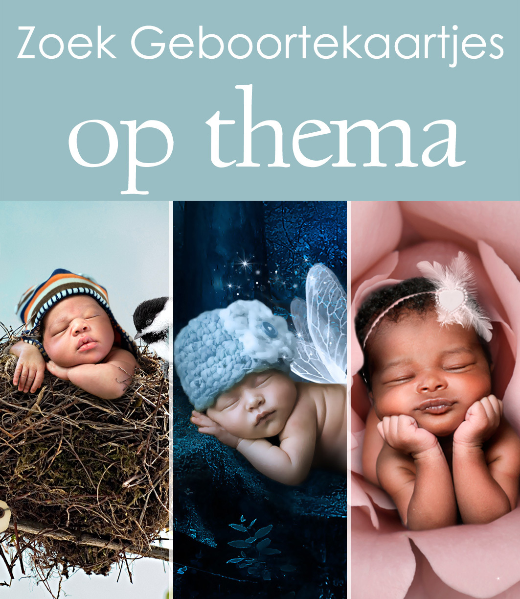 Zoek een geboortekaartje op thema