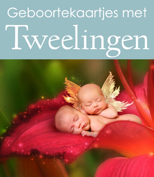 Tweeling Sprookjes Geboortekaartjes