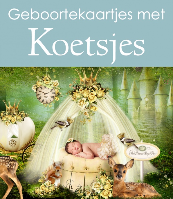 Geboortekaartjes met Koetsjes