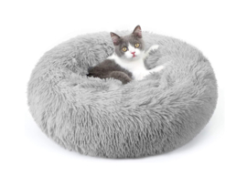 Katten en hondenmand rond