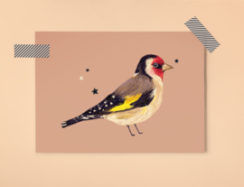 Puttertje Illustratie BIRDIE GOLDFINCH vogel postkaart