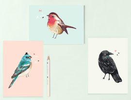 Vogel Illustratie BIRDIES postkaarten - set van 3