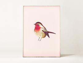 Roodborstje Vogel Illustratie BIRDIE ROBIN kunst poster - A4 formaat