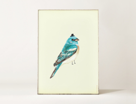 Vogel Illustratie BIRDIE IN BLUE kunst poster - A4 formaat