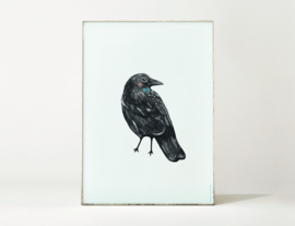 Kraai Vogel Illustratie CROW BIRDIE kunst poster - A4 formaat