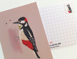 Vogel Illustratie BIRDIES postkaarten - set van 5