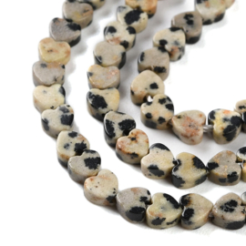Dalmatian Jaspis